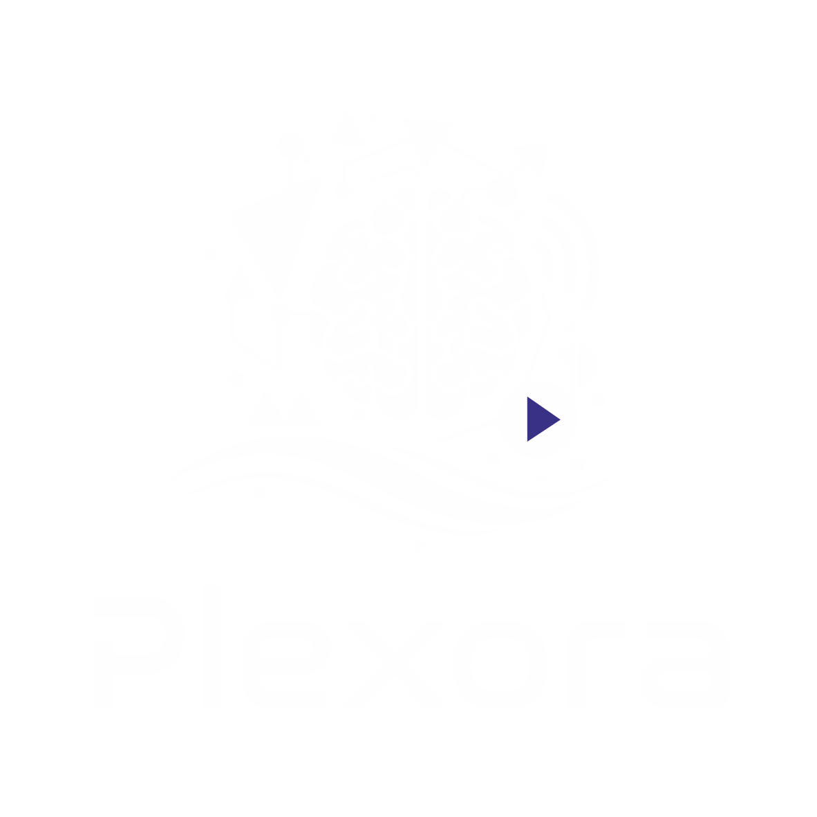 Plexora Logo